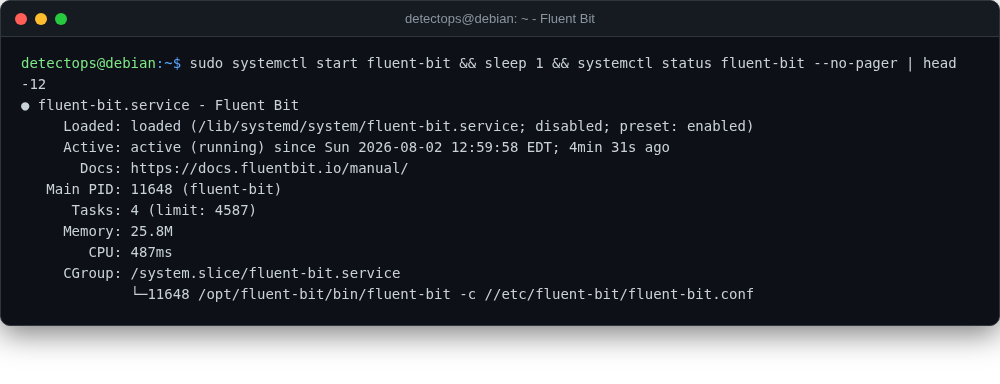 Fluent Bit screenshot